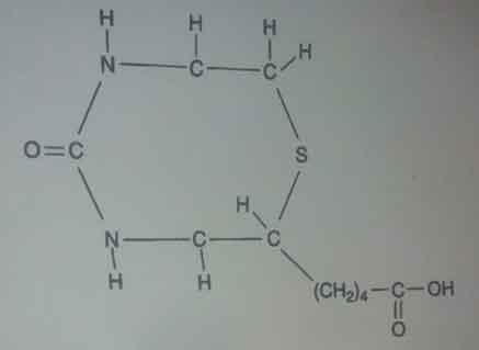 فرمول شیمیایی آنزیم