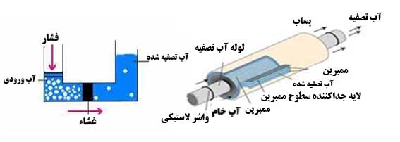 کارکرد اسمز معکوس